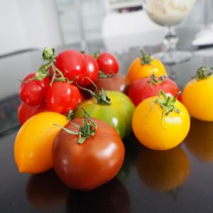 Tomaten mit frohem Farbenspiel