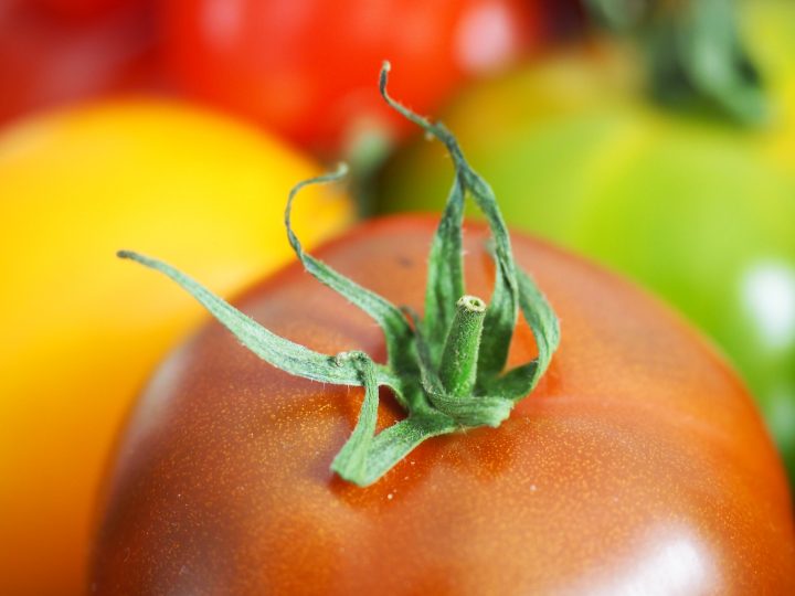 																																																						<h5>Tomaten mit frohem Farbenspiel</h5>
																																			