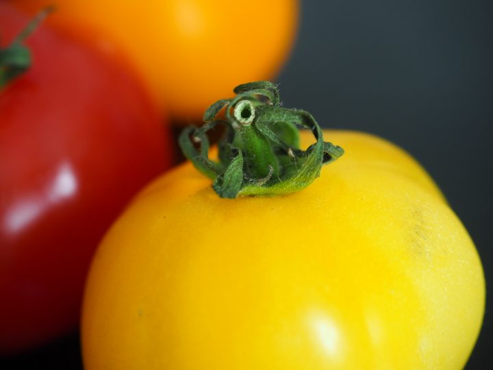 																																																						<h5>Tomaten mit frohem Farbenspiel</h5>
																																			